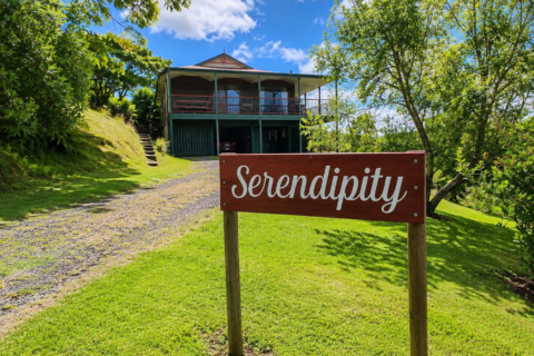 Serendipity Bunya Mountains