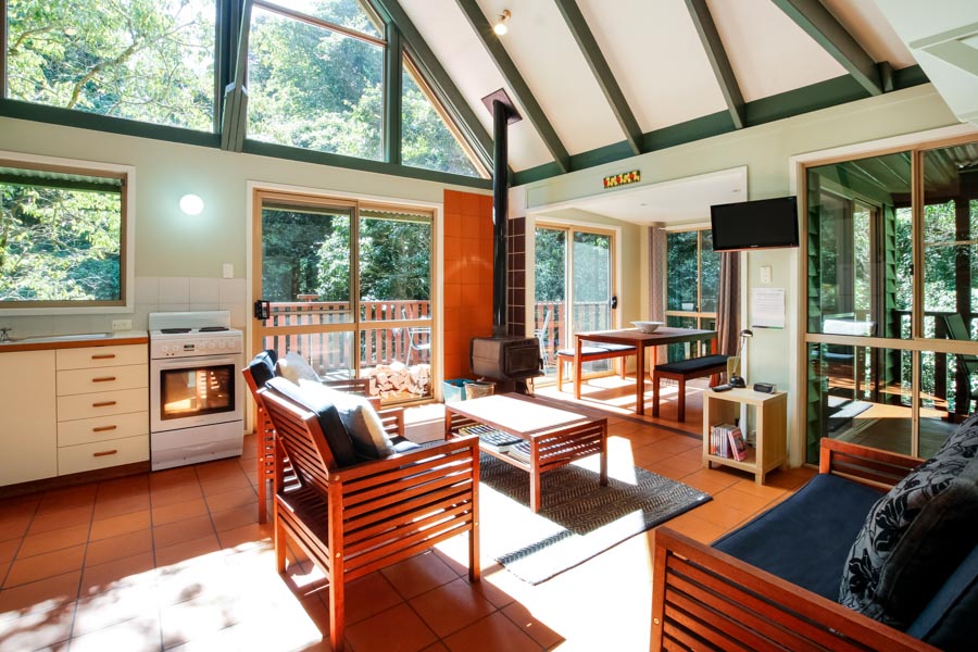 Bunya Trees Bunya Mountains