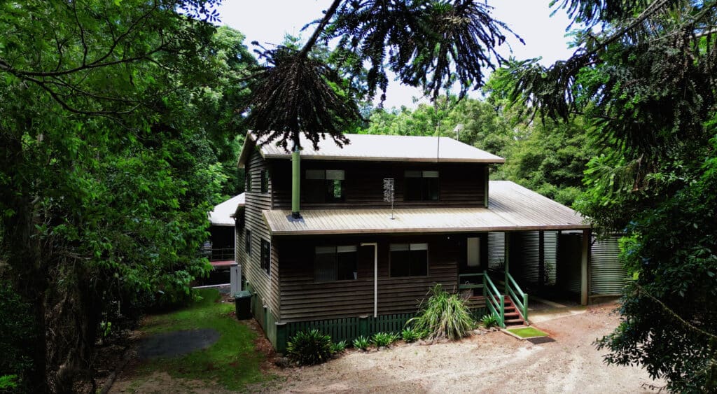Bunya Mist @Rices
